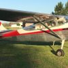 Cessna 170B – VENDIDO