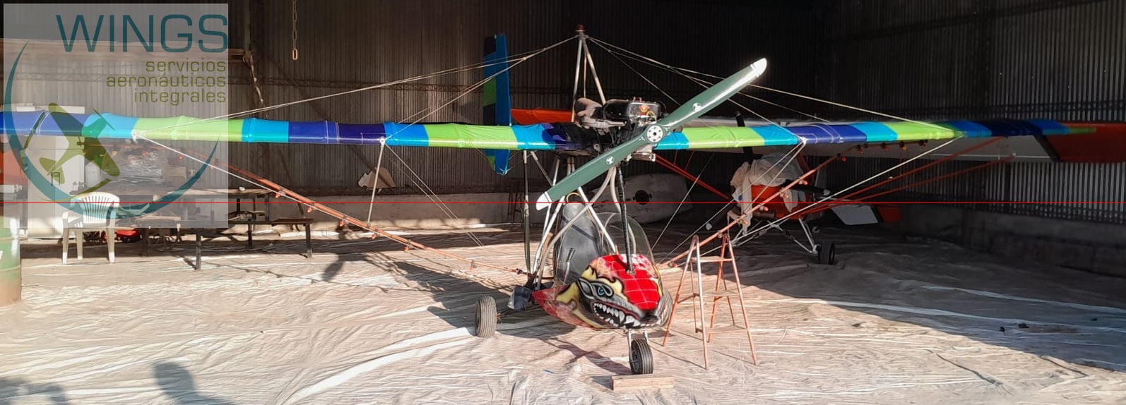 Di Palma 1 monoplaza fumigador – DP-1