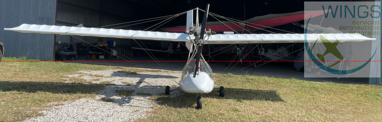 Di Palma 1 – DP1