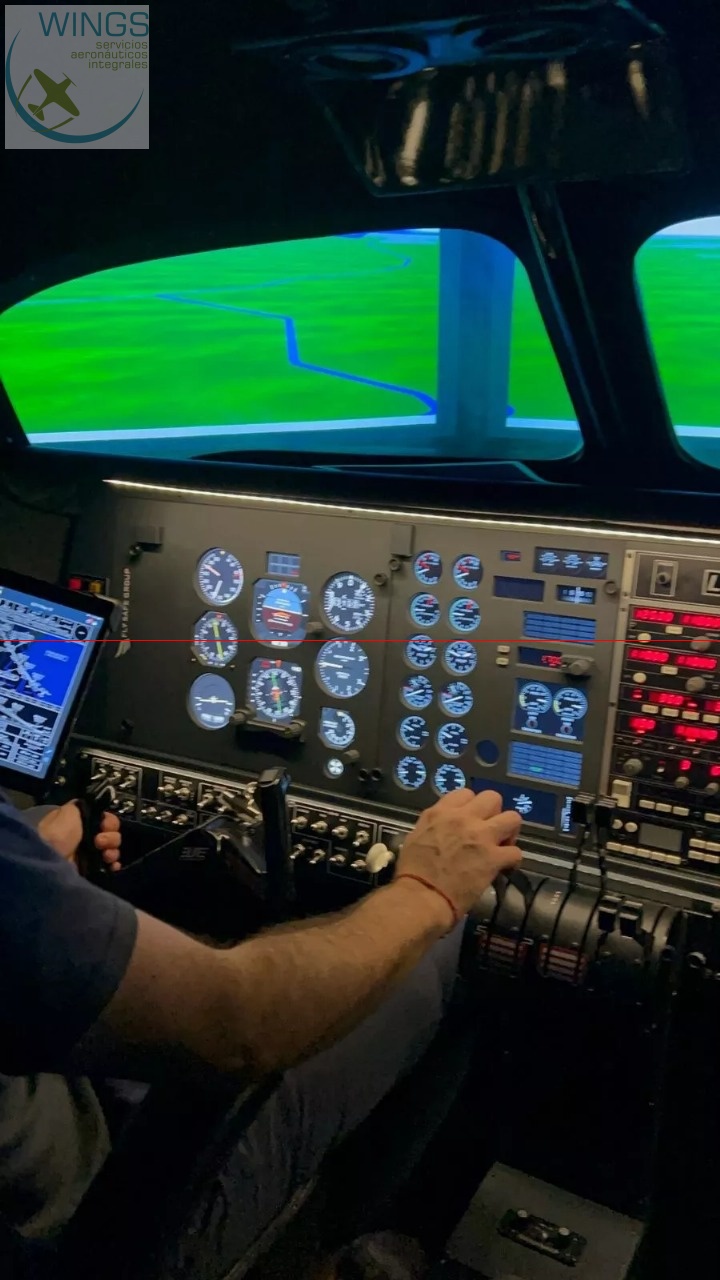 Simulador de vuelo