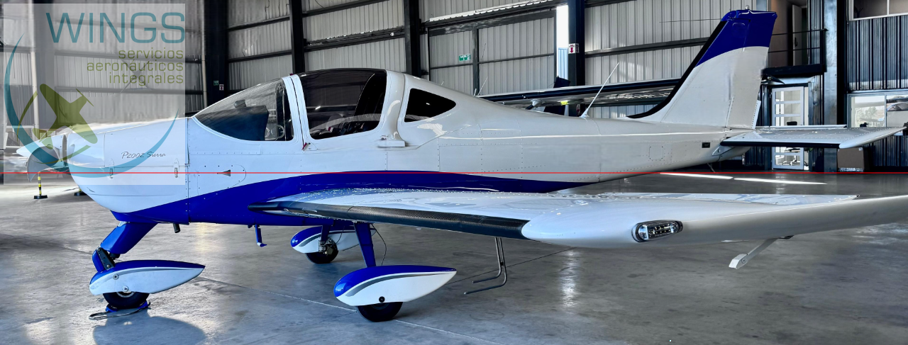Tecnam P2002