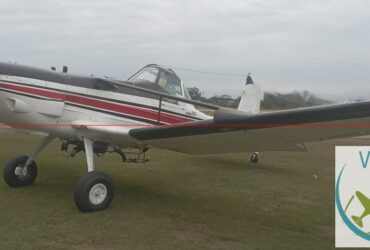 Cessna T-188-C Husky