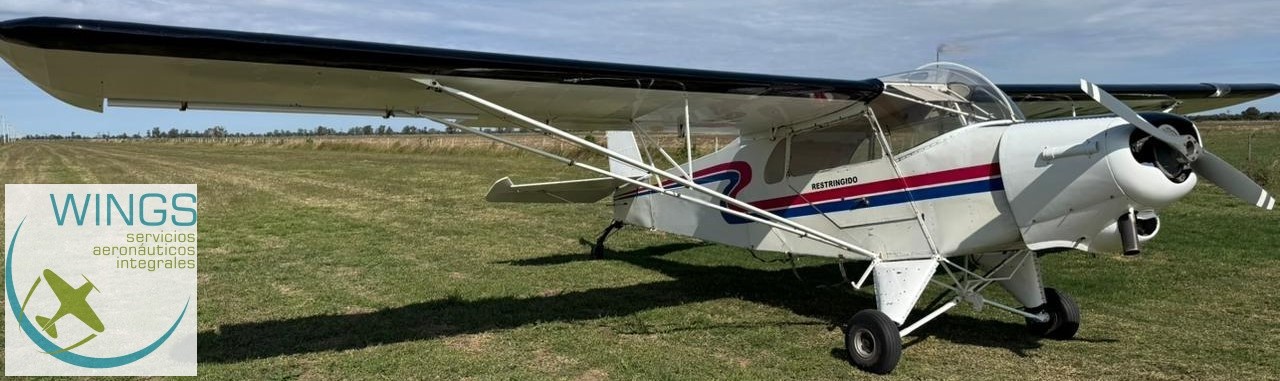 IAe 46 Ranquel – 150 HP