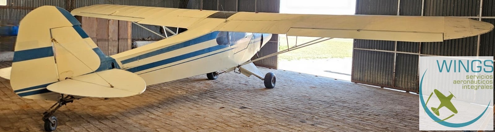 Piper PA-11