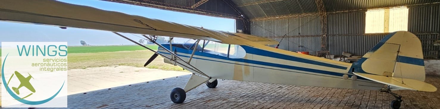 Piper PA-11