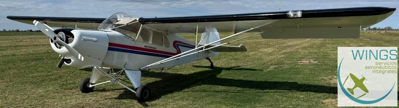 IAe 46 Ranquel – 150 HP