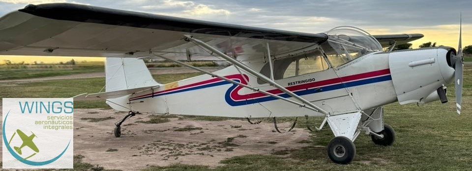 IAe 46 Ranquel – 150 HP