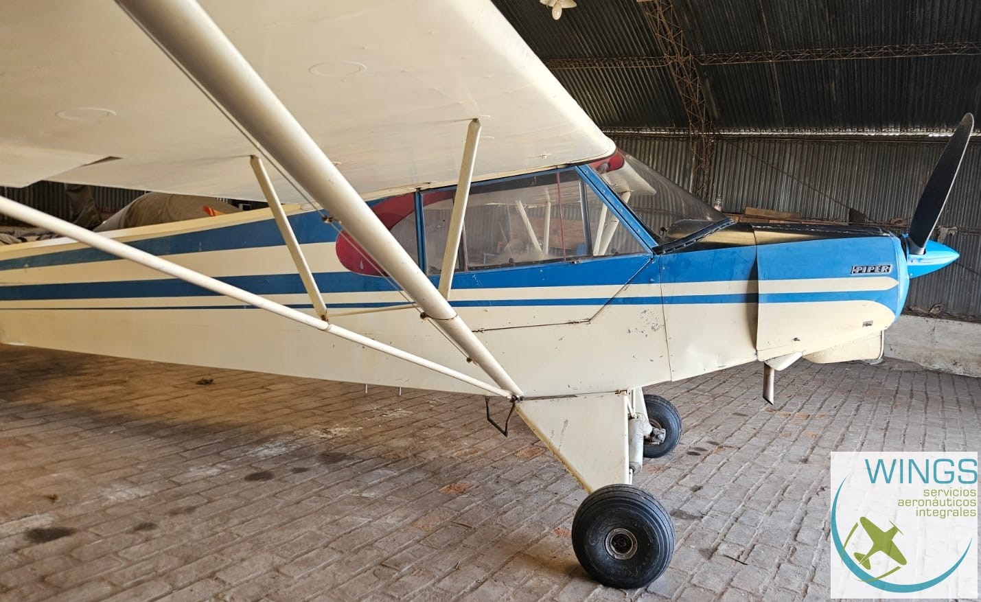 Piper PA-11