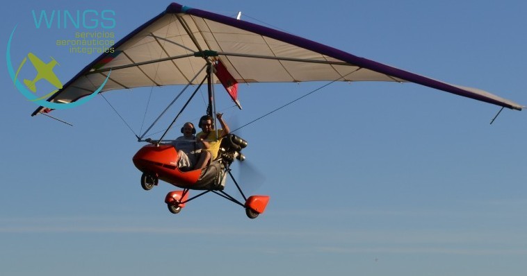 Trike Pendulair Biplaza