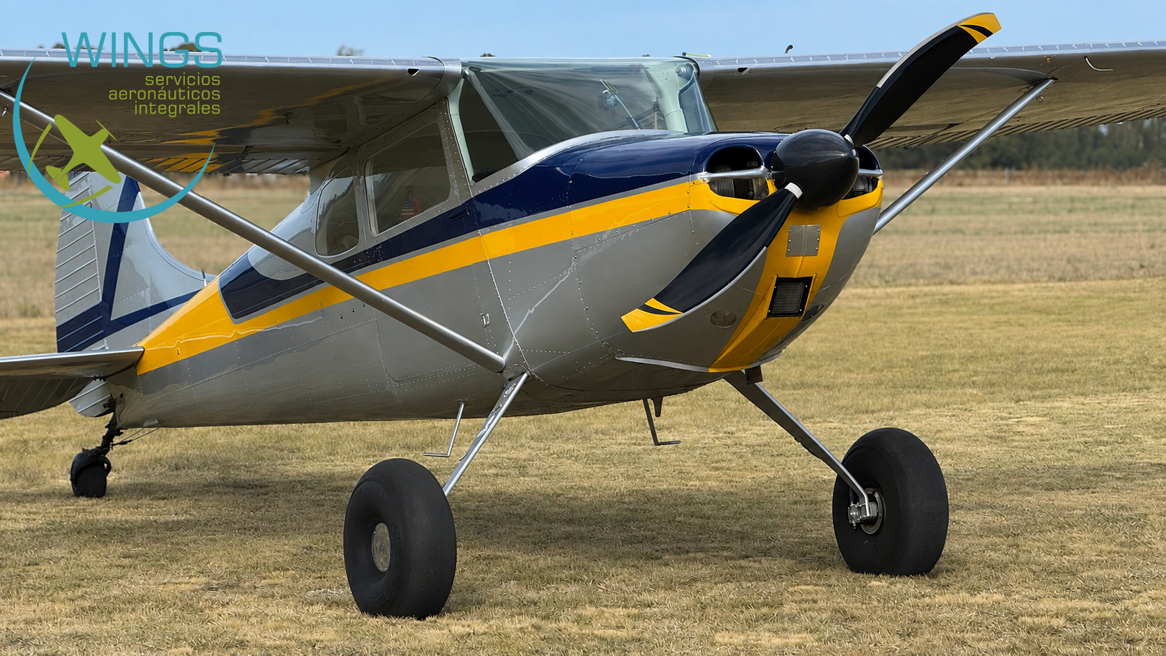 Cessna 170