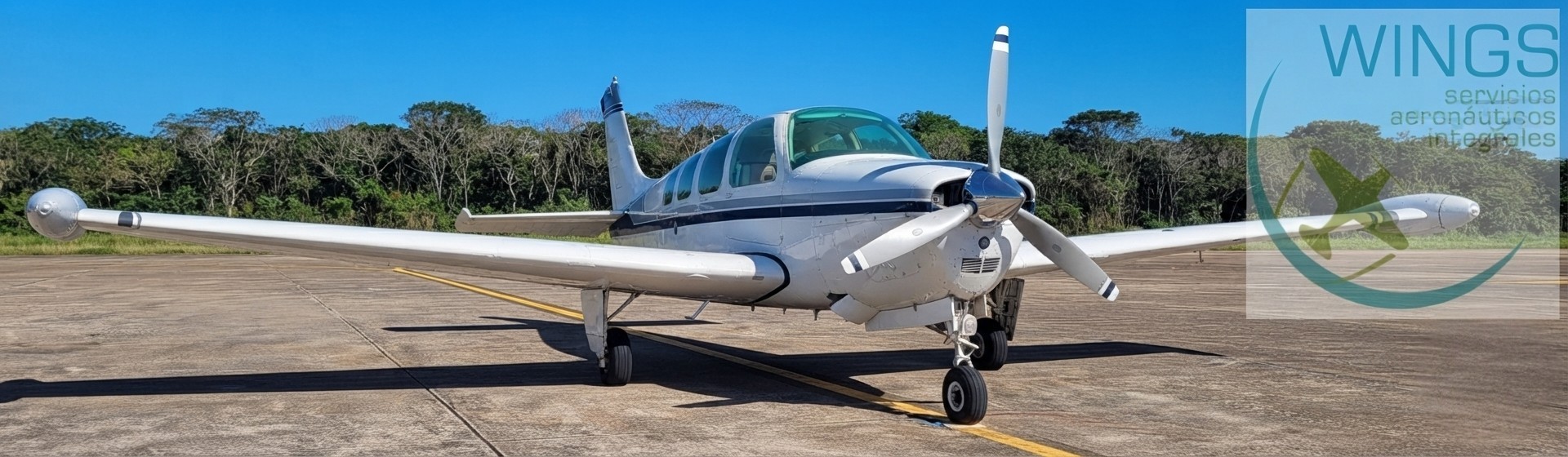 Beechcraft A36