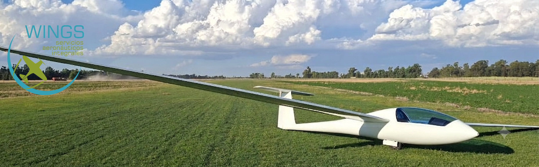 Schempp-Hirth Ventus CM