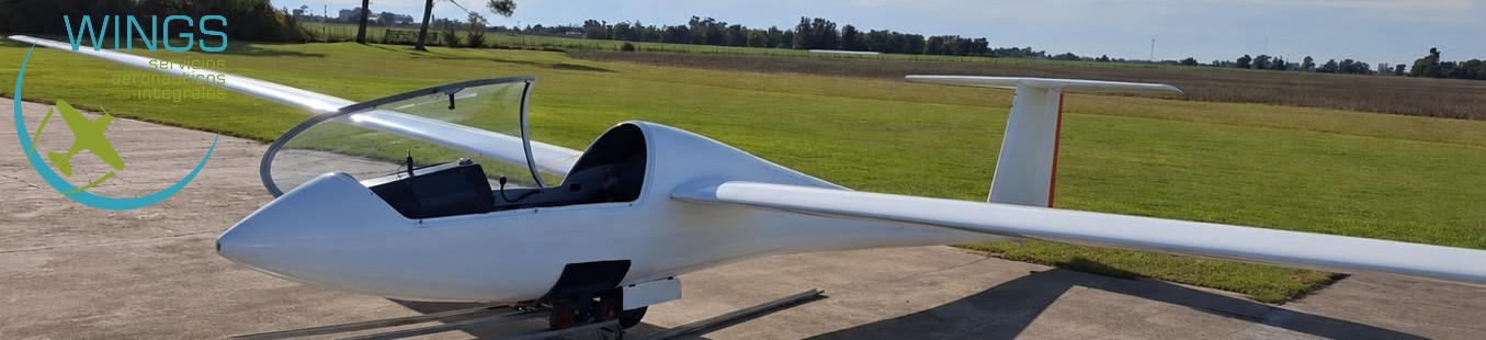 Schempp-Hirth Ventus CM