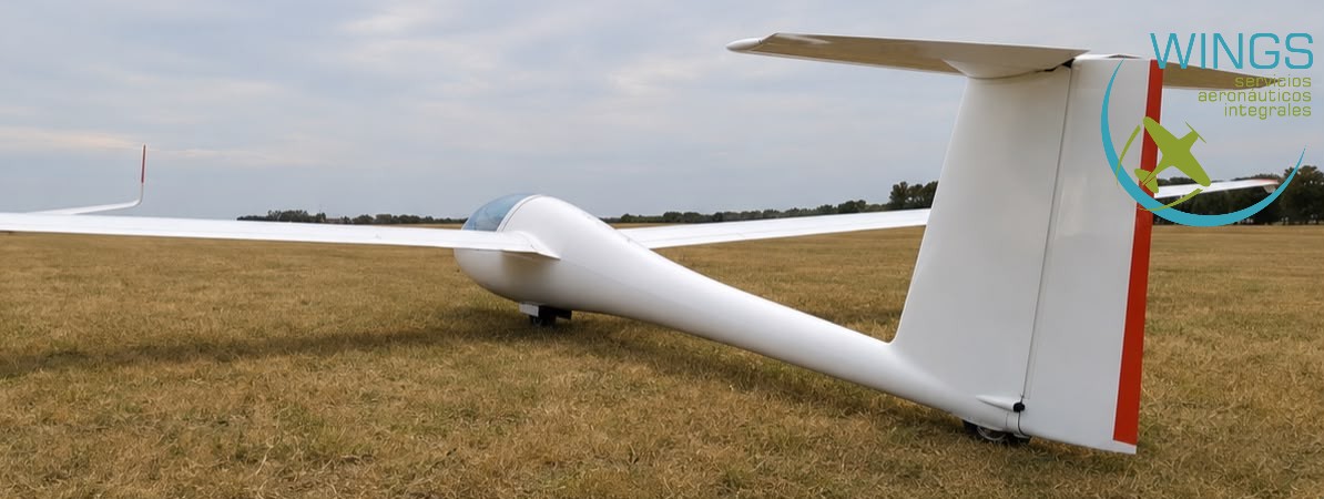 Schempp-Hirth Ventus CM
