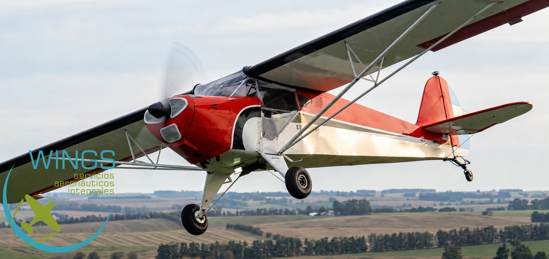 Boyero experimental IA-20
