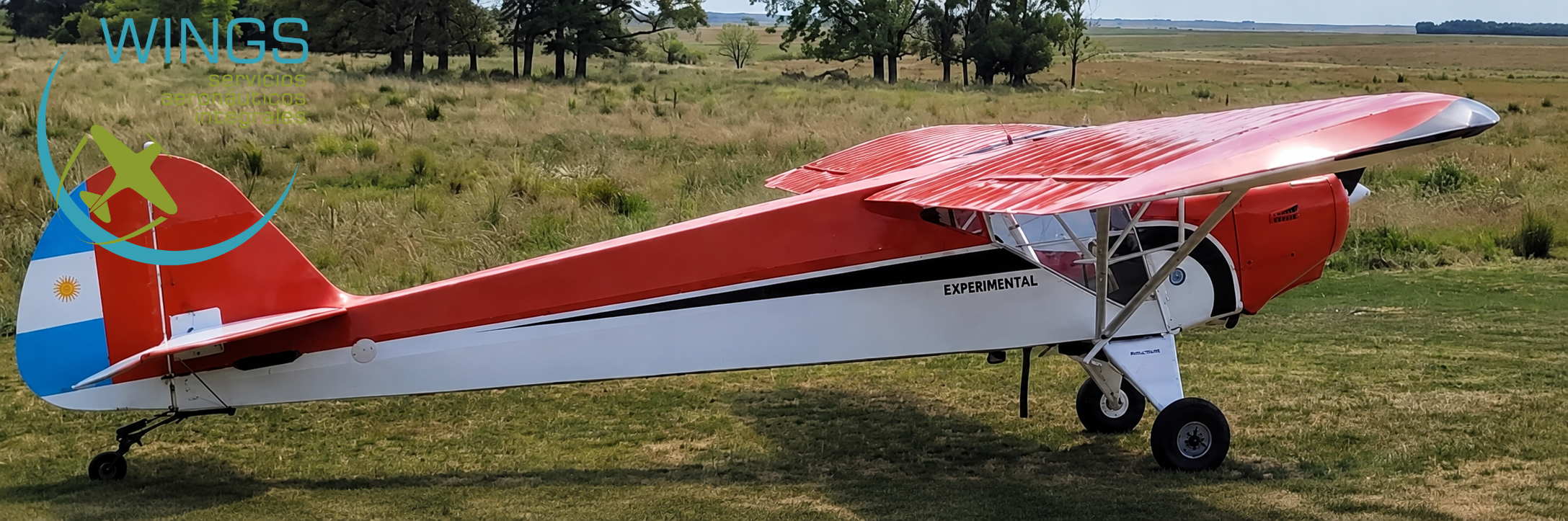 Boyero experimental IA-20