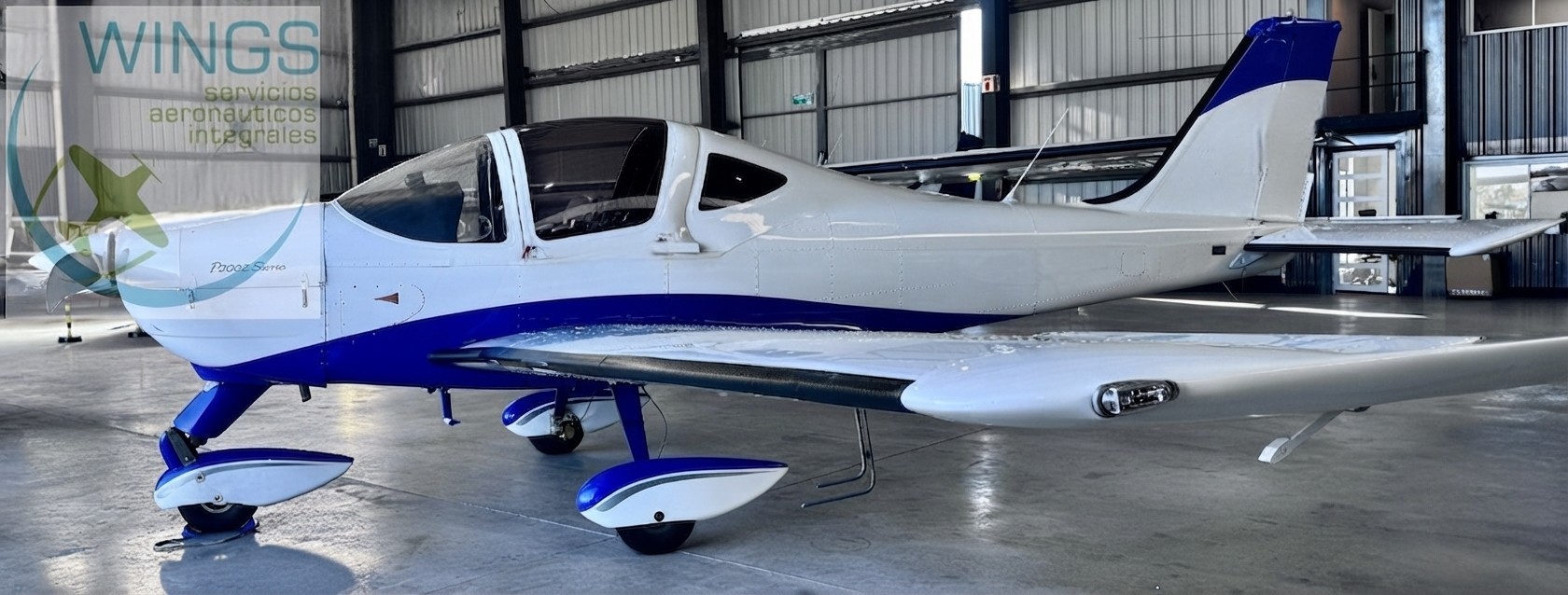 Tecnam P2002