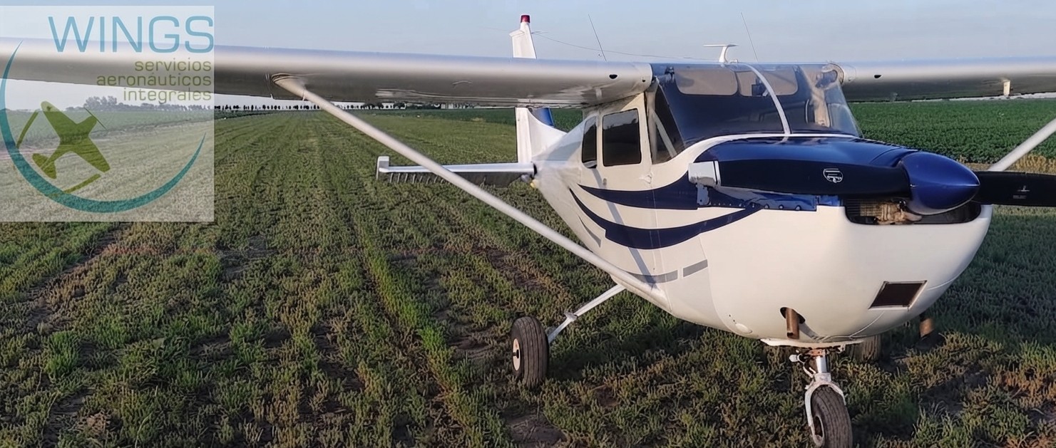 Cessna 175B