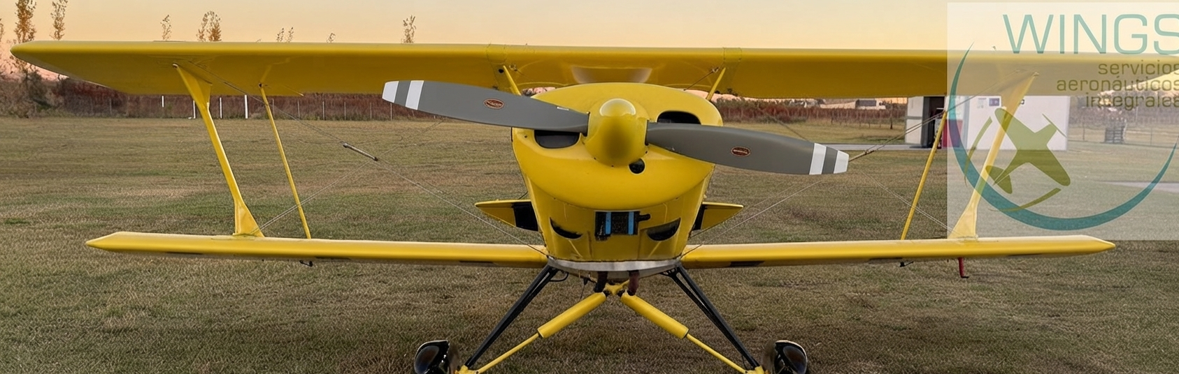 Acro Sport II