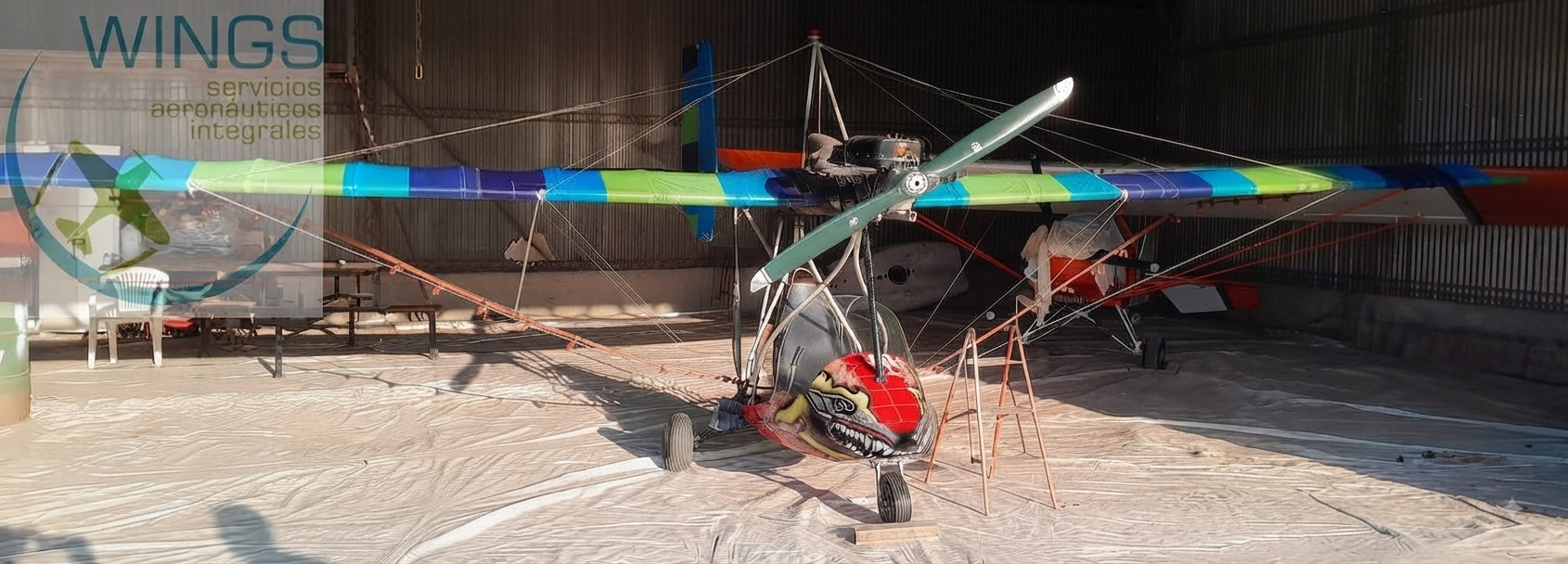 Di Palma 1 monoplaza fumigador – DP-1