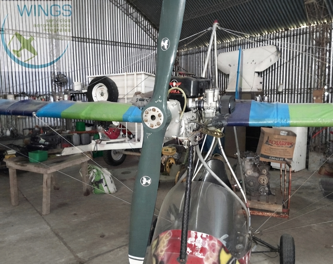 Di Palma 1 monoplaza fumigador – DP-1
