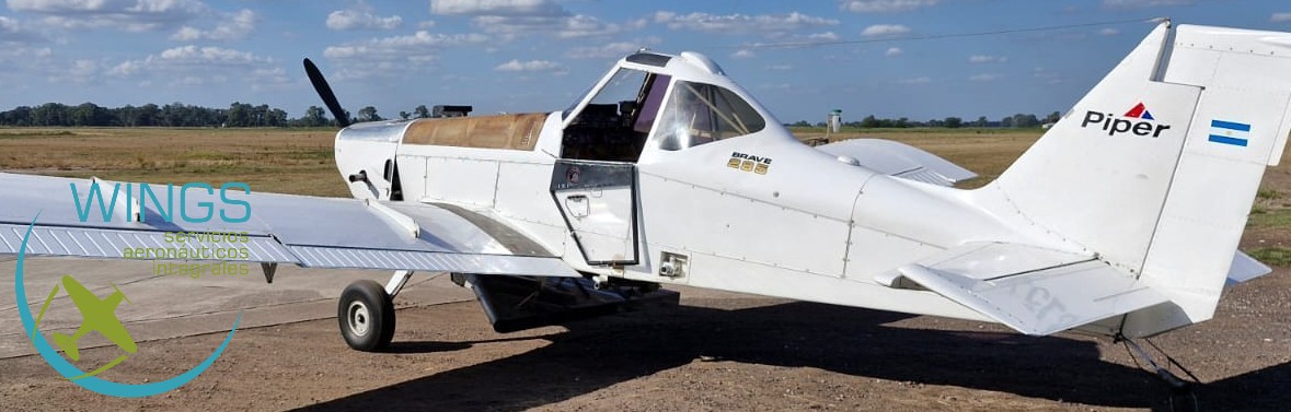 PIPER PA-36-300 BRAVO