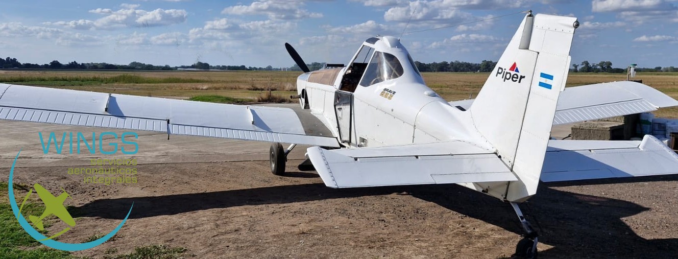 PIPER PA-36-300 BRAVO