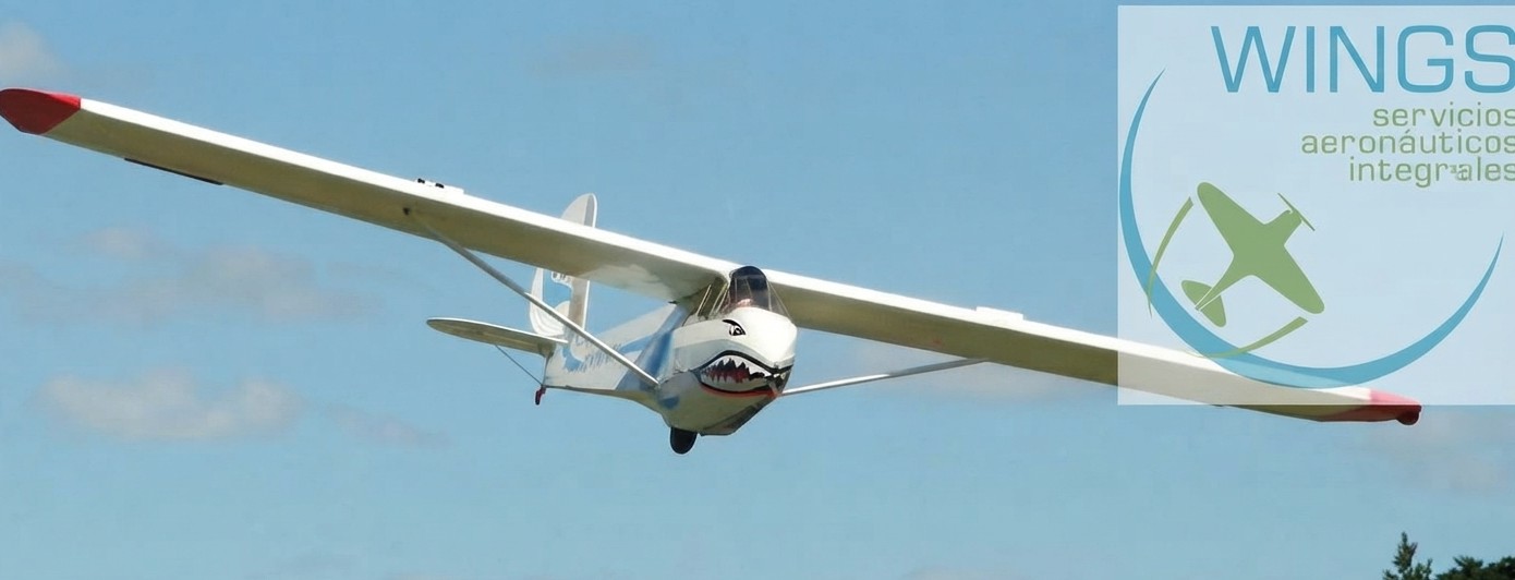 Schweizer SGU-2-22