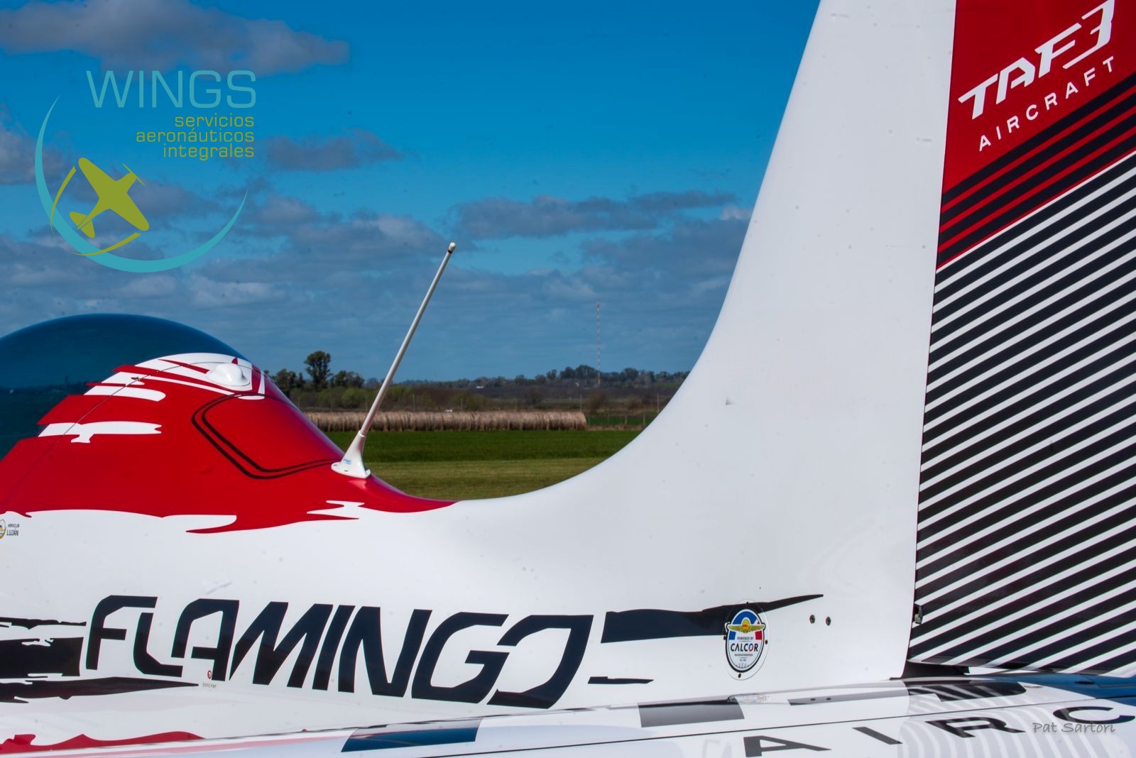 TAF-3 Flamingo