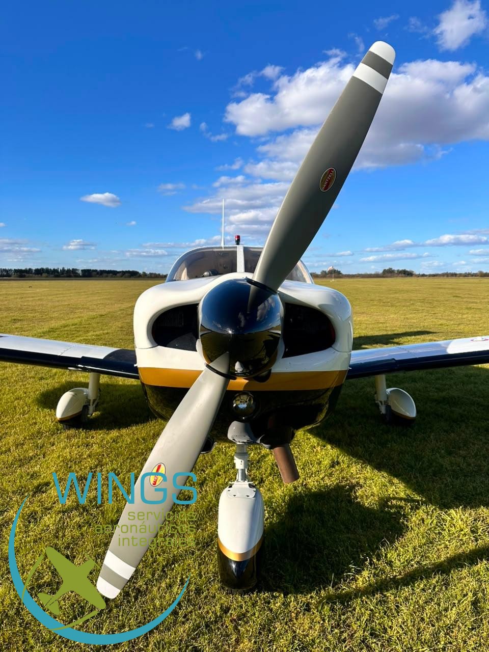 Piper Cherokee six-PA32-260