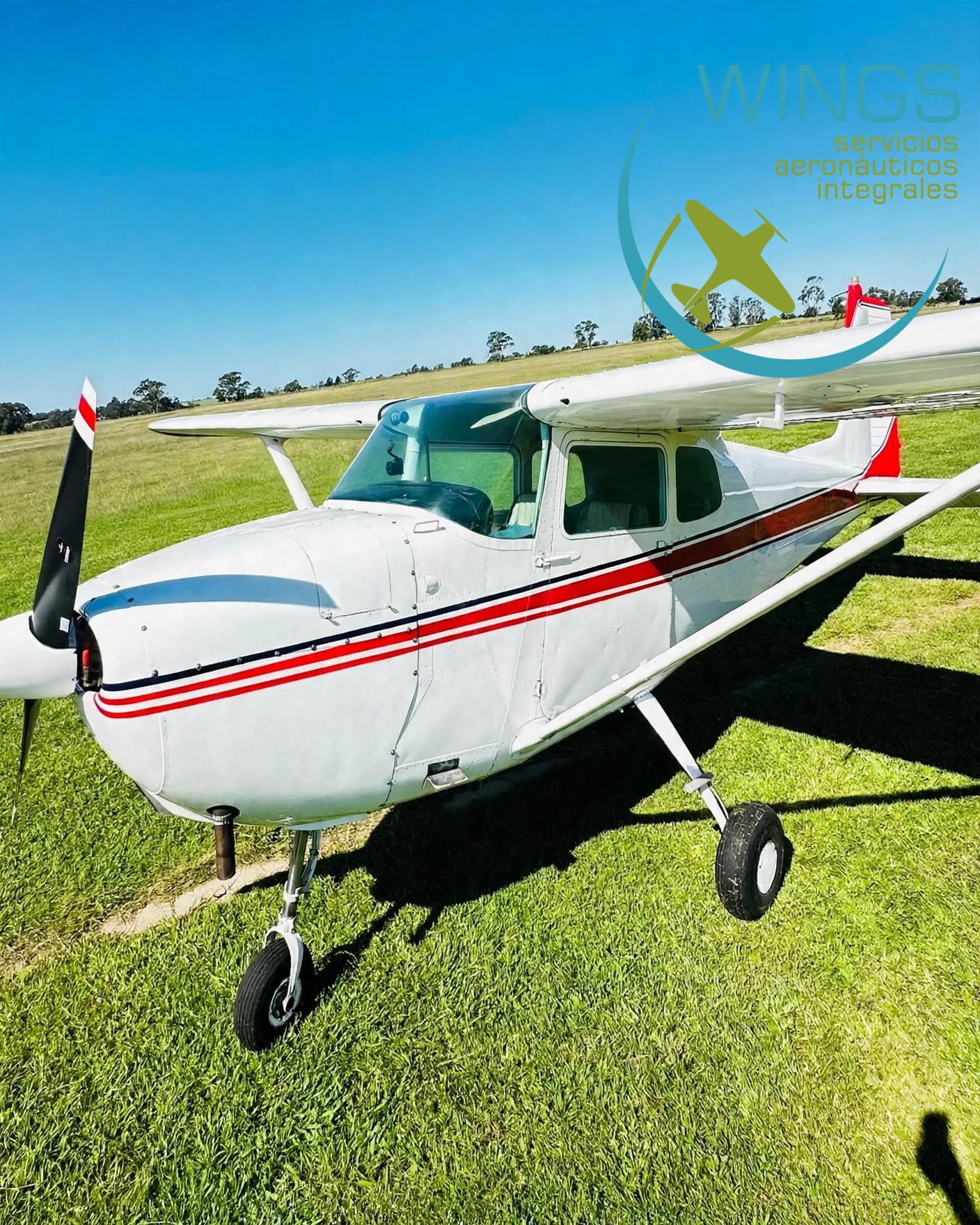 Cessna 175